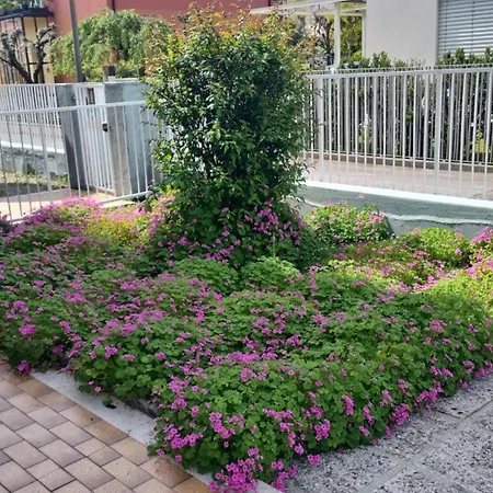 Casa Di Terry 特雷维索