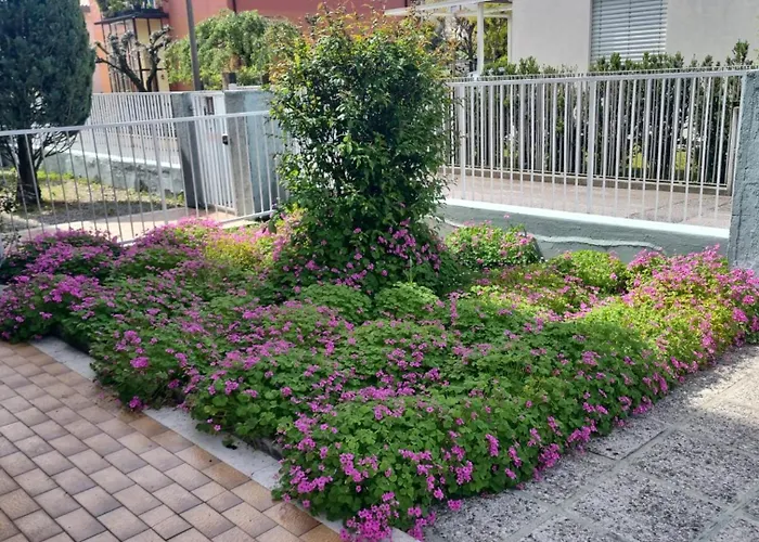 Casa Di Terry Treviso